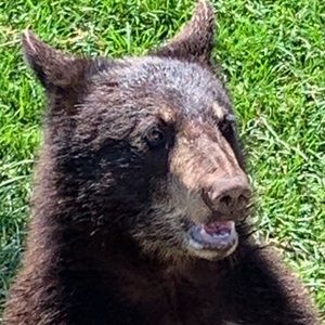 Meet your Posher, Konrad